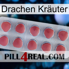 Drachen Kräuter 18